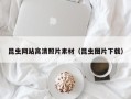 慈溪昆虫网站高清照片素材（昆虫图片下载）